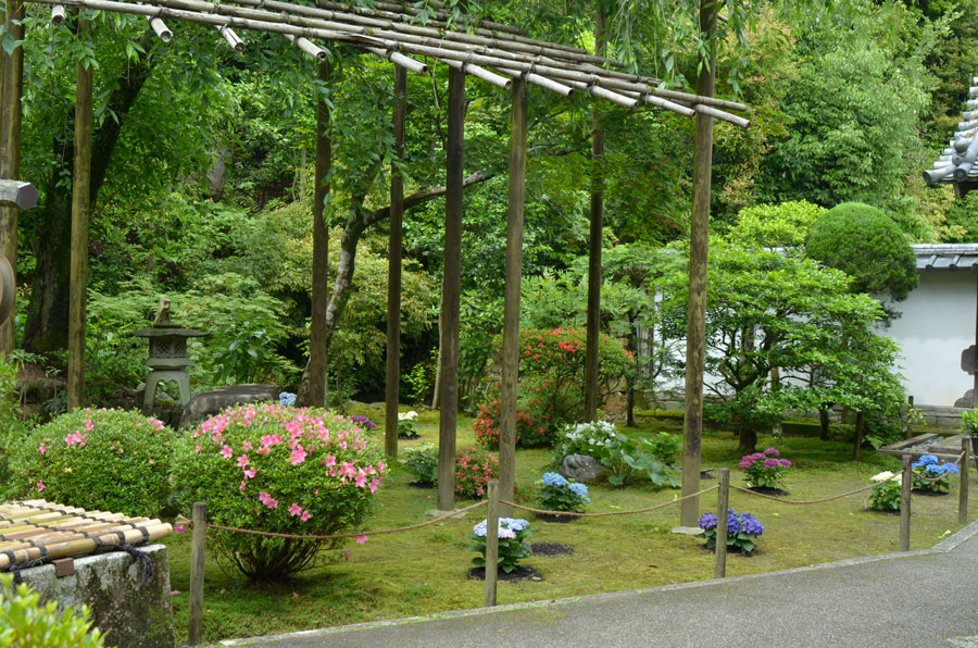 紫陽花とツツジの咲く前庭