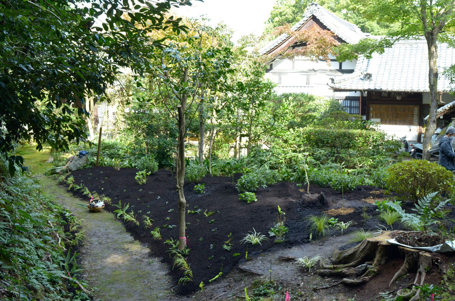 紫陽花や草花の植え込みの完了した紫陽花の丘