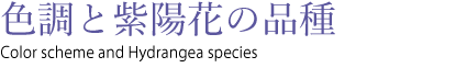色調と紫陽花の品種　Color scheme and Hydrange species