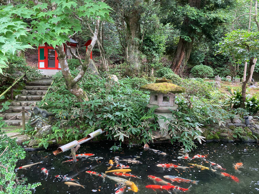 錦鯉の泳ぐ池のある庭園