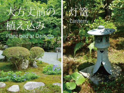 大方丈前の植え込みと灯篭　Plant bed at Daihojo ＆ Lantern