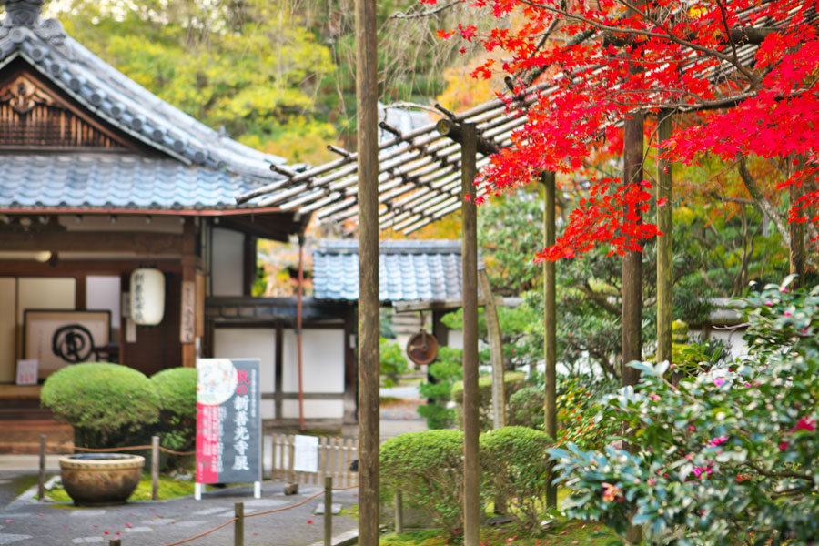 新善光寺展の表庭と大方丈入口