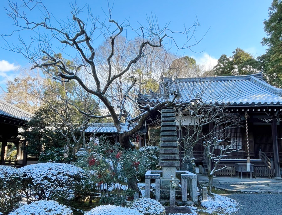 うっすらと雪をまとった本堂