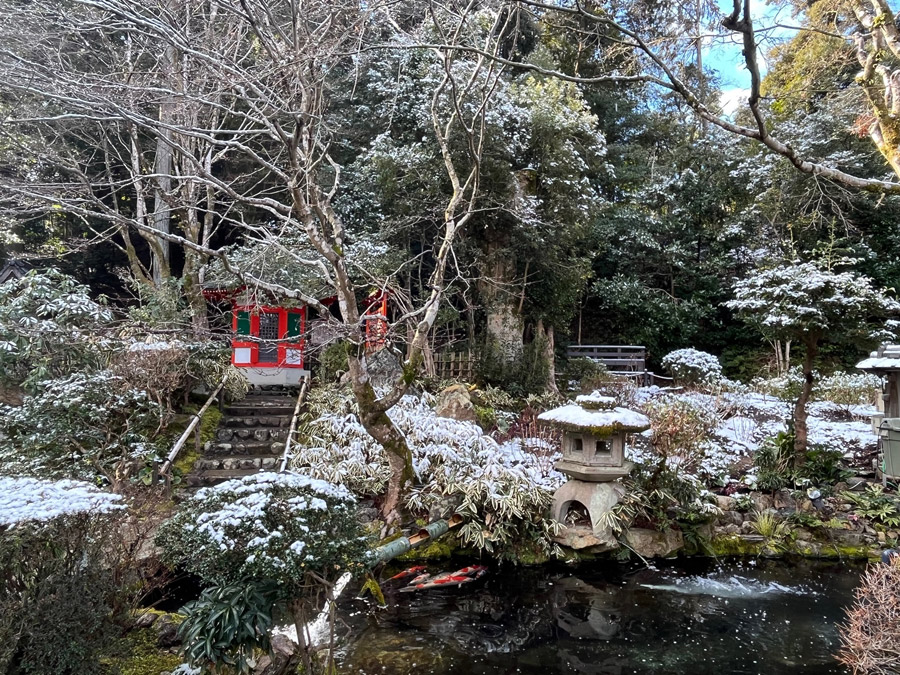 雪の日の朝の主庭園