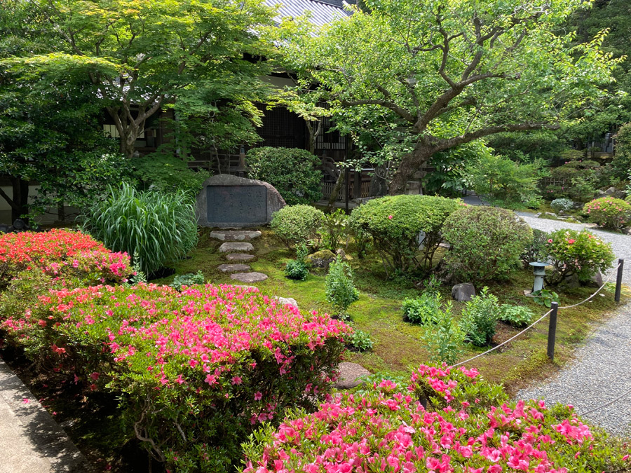 大方丈前のツツジの花