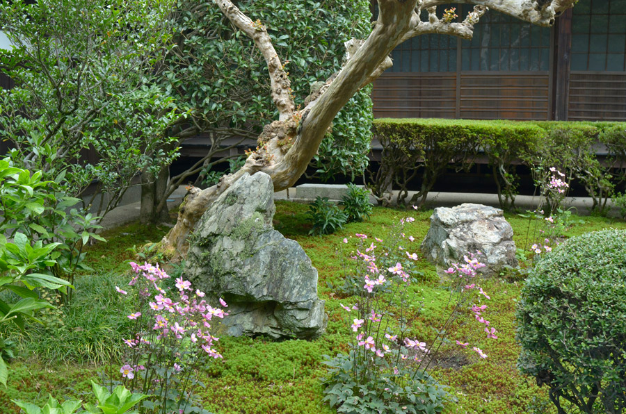 大方丈（書院）前の庭