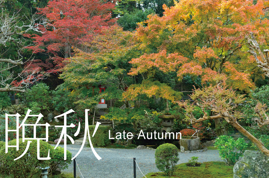 晩秋（Late Autumn)-晩秋の庭