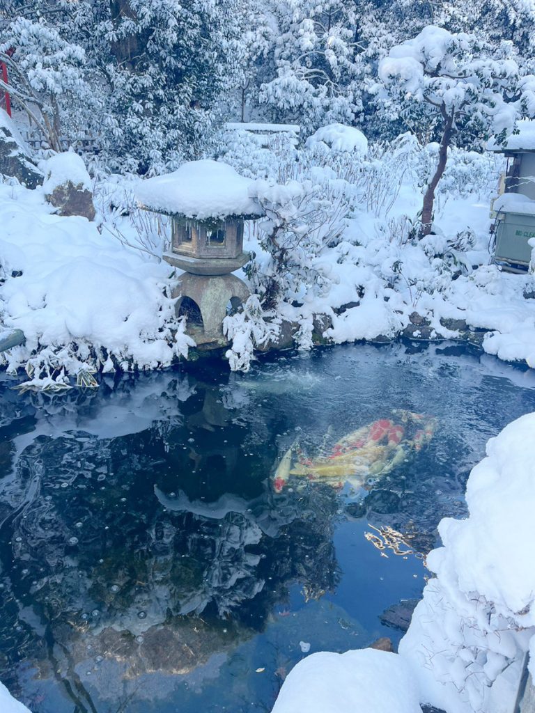 大雪の日の錦鯉の池