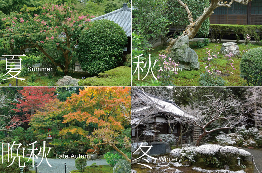 夏、秋、晩秋、冬の庭の写真
Garden picture of summer, Autumn, Late Autumn and winter.
