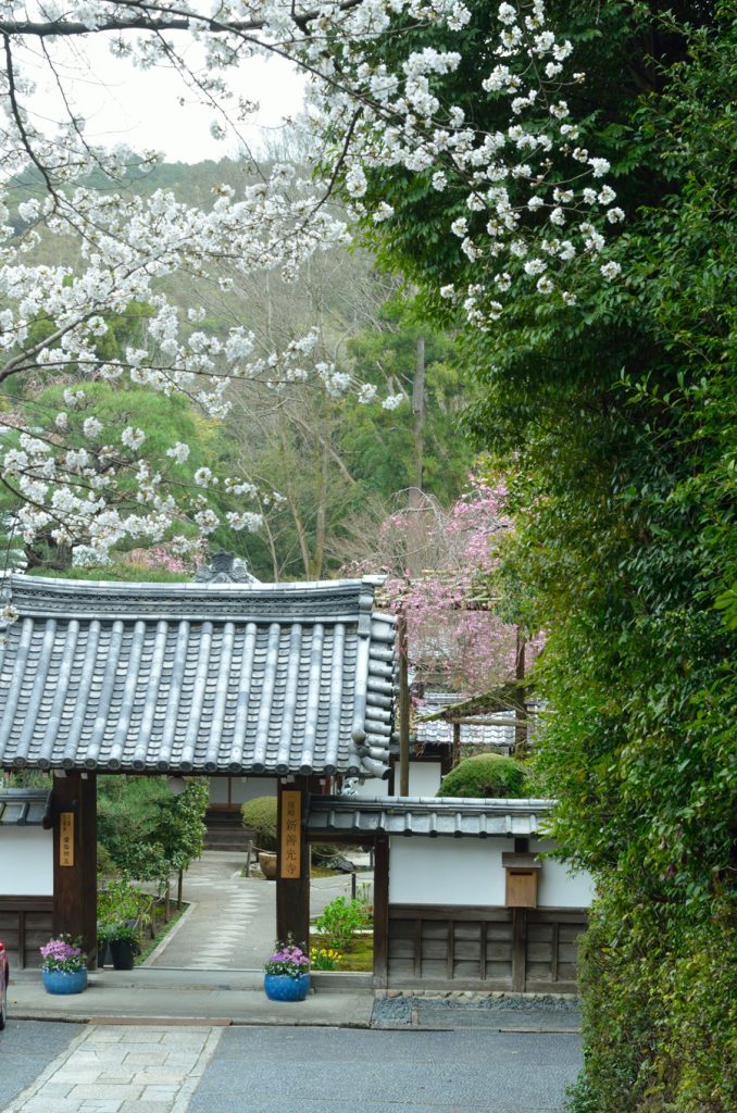 坂の上から見た新善光寺の表門