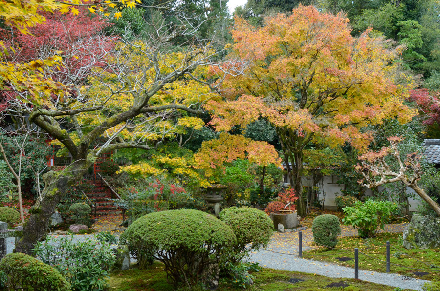 新善光寺展の主庭園(2022年秋）