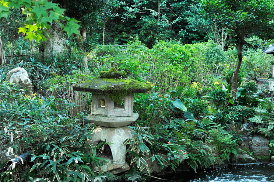 鯉の池からアジサイの丘を望む