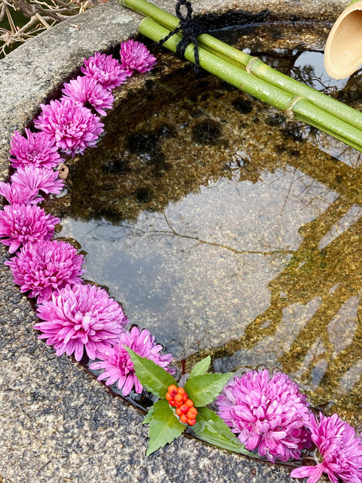 手水鉢の花