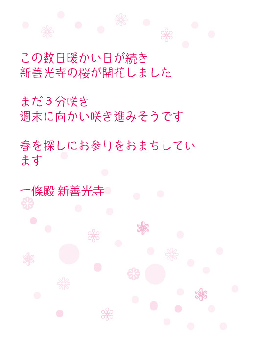 この数日暖かい日が続き新善光寺の桜が開花しました。まだ3分咲き、週末に向かい咲き進みそうです。春を探しにお参りをおまちしています。
一條殿　新善光寺