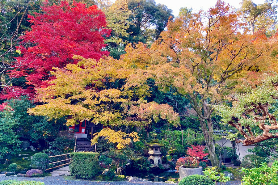 庭園の紅葉